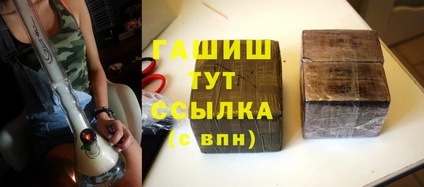 PSILOCYBIN Гусиноозёрск