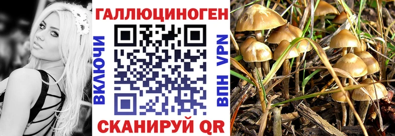 Купить закладки  Магас  Псилоцибиновые грибы GOLDEN TEACHER 